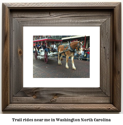 trail rides near me in Washington, North Carolina